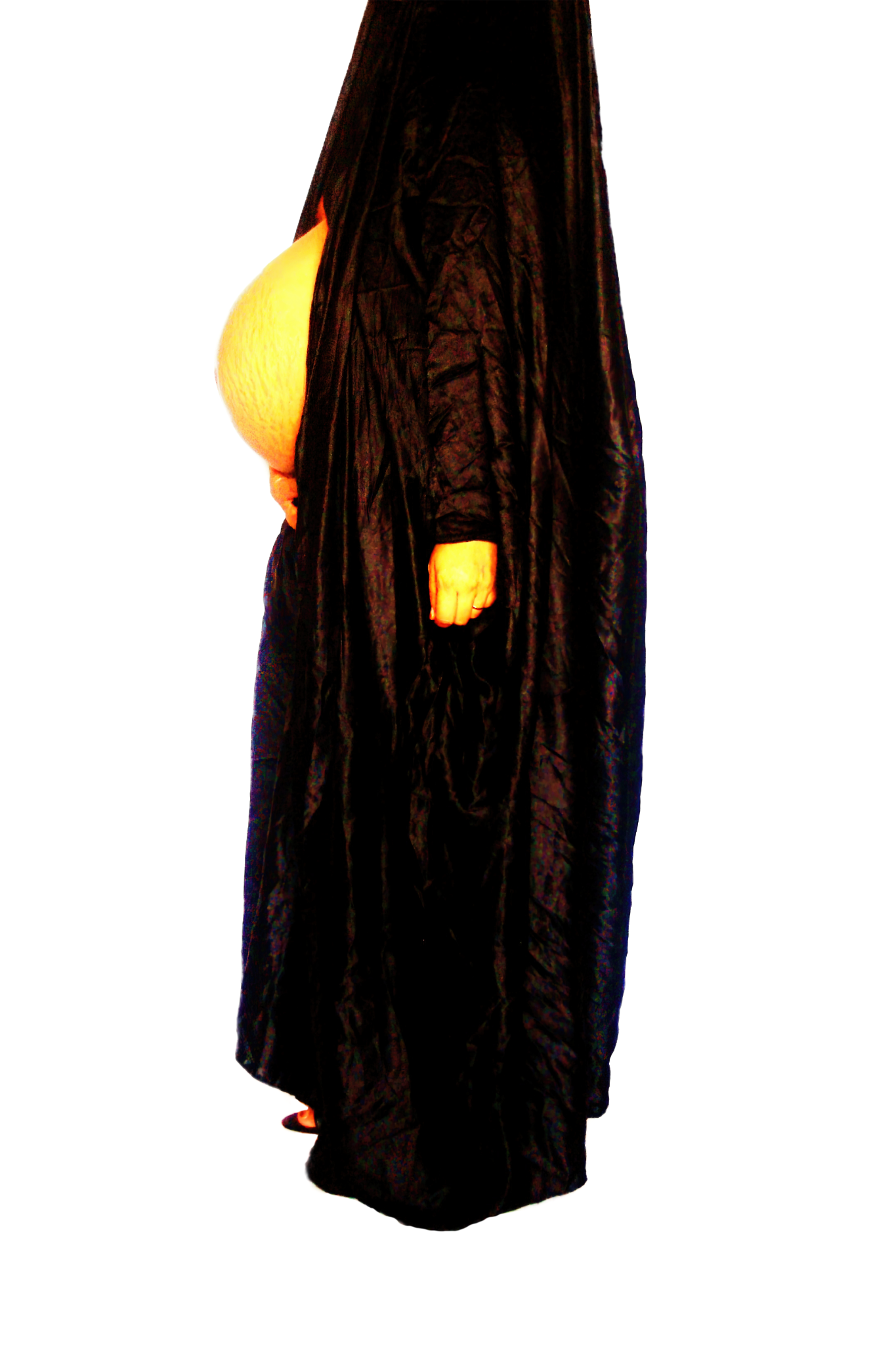 Le Corps Pansant - 2009